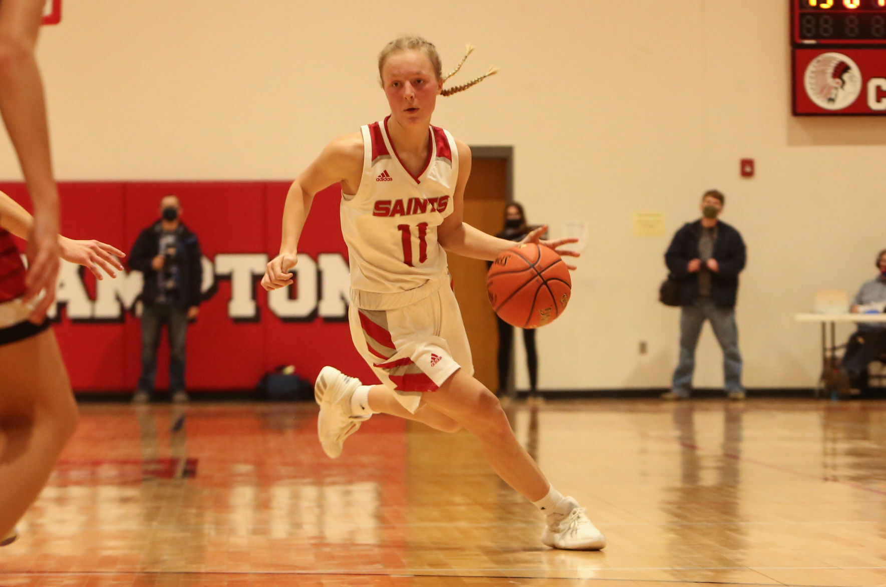 St. Ansgar vs Turkey Valley girls basketball regional championship - Anderson